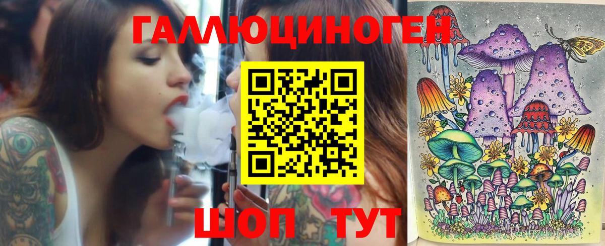 Галлюциногенные грибы Psilocybine cubensis Улан-Удэ