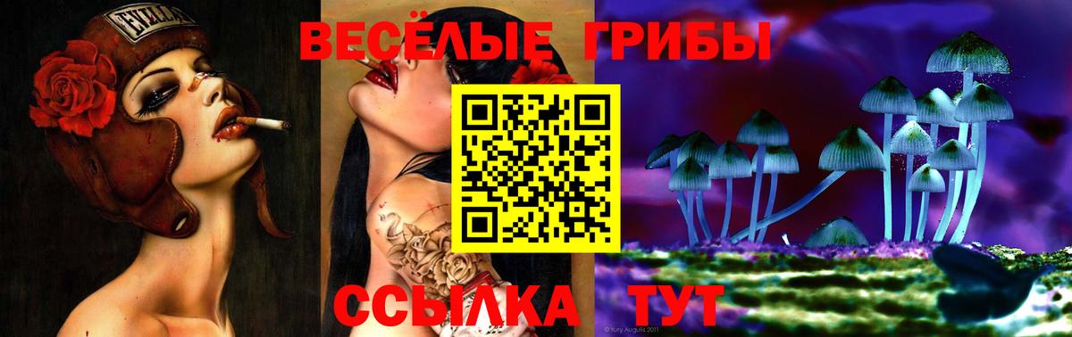 Улан-Удэ  Галлюциногенные грибы MAGIC MUSHROOMS  купить наркотик  Вход с VPN 